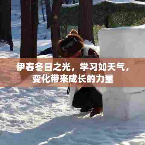 伊春冬日之光,学习中的成长力量与天气的变化同步前行