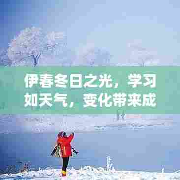 伊春冬日之光,学习中的成长力量与天气的变化同步前行