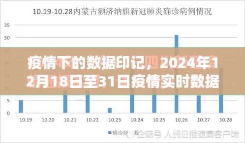 疫情下的数据印记，深度解析2024年12月疫情实时数据报告