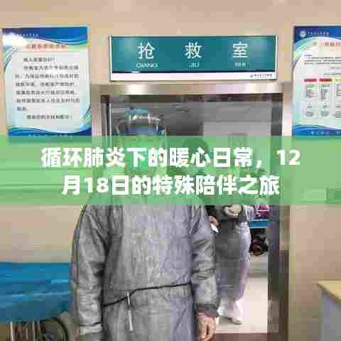 一言九鼎 第3页