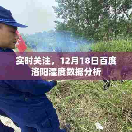 百度洛阳湿度数据分析实时关注报告,12月18日深度解读