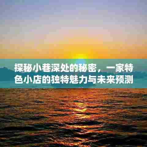 探秘小巷深处的独特小店,魅力与未来展望