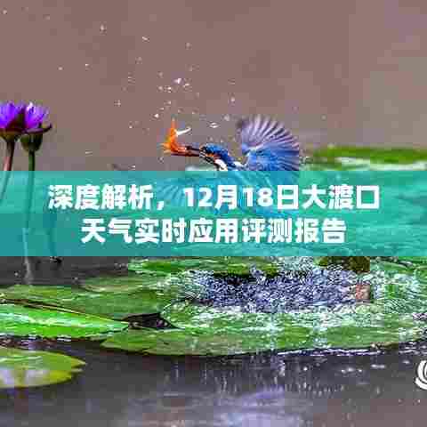 大渡口天气预报实时应用深度评测报告,详细解读与解析