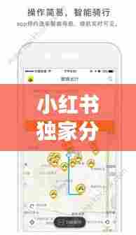 小红书分享,圣诞节路况实时查询攻略,轻松掌握出行信息!