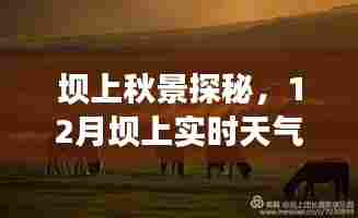 坝上秋景探秘,12月坝上实时天气详解与旅行指南