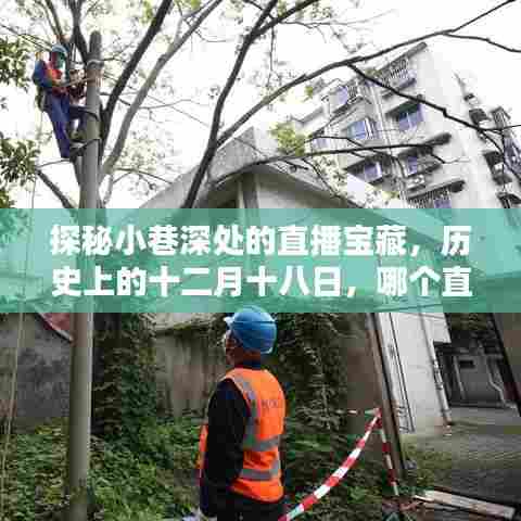 探秘小巷深处的直播宝藏，揭秘十二月十八日直播平台的选择之道