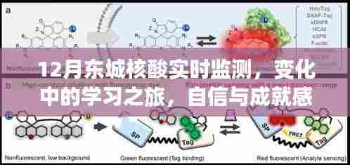 东城核酸实时监测,学习之旅中的变化与自信之源