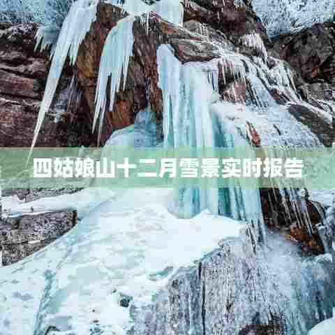 四姑娘山十二月雪景实时更新,冬季雪域美景尽收眼底