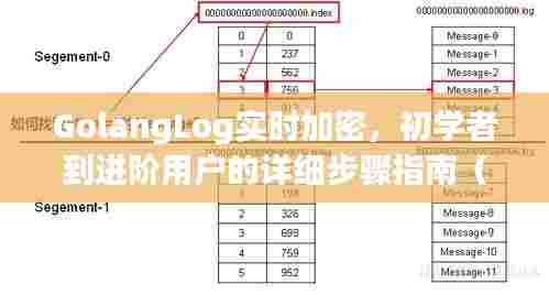 GolangLog实时加密,初学者到进阶用户详细指南(最新版 2024)