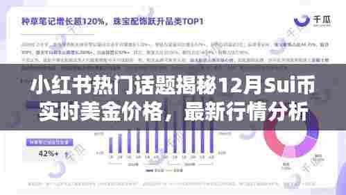 小红书热门话题下的币圈揭秘，Sui币实时美金价格分析与投资指南（附最新行情分析）