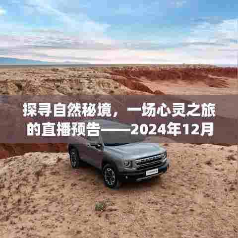 草草了事 第3页