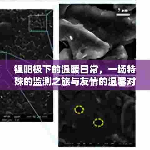 锂阳极下的日常,特殊监测与友情对话的温馨之旅