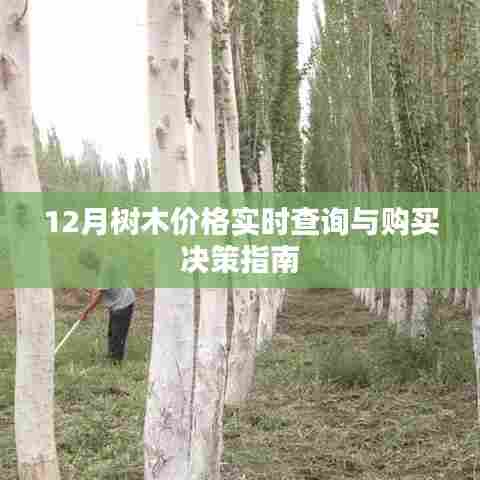 展翅欲飞 第4页