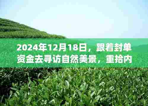 跟着封单资金探寻自然美景,心灵宁静之旅于2024年12月18日启程