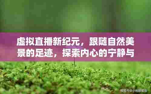 虚拟直播新纪元，跟随自然美景探索内心宁静与和谐之旅
