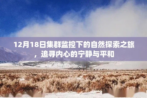 12月18日集群监控下的自然探索之旅,追寻心灵宁静与平和的旅程