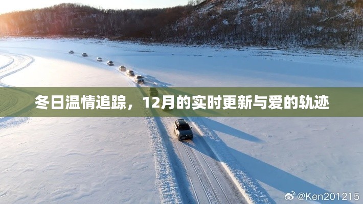 百鸟归巢 第3页