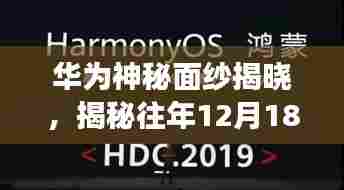 华为神秘面纱背后的故事，探寻实时字幕起源与小巷特色小店之旅