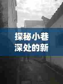 探秘小巷深处的新闻英语特色小店,实时推送之旅揭秘日(12月18日)