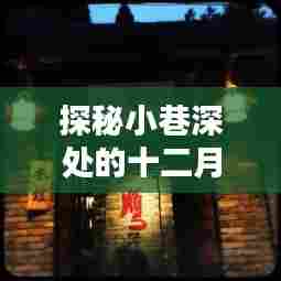 探秘十二月小巷深处的实时信息驿站,隐藏版特色小店的秘密之旅