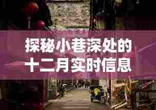 探秘十二月小巷深处的实时信息驿站,隐藏版特色小店的秘密之旅
