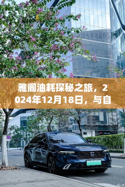 雅阁油耗探秘之旅,与自然美景共舞的日子(2024年12月18日)