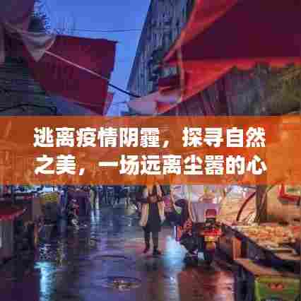 疫情后的自然探索之旅,心灵净化之旅的宁静之地