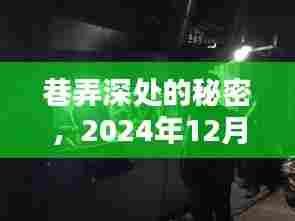 巷弄深处的秘密,公安实时监控下的人情味探索(2024年12月18日)