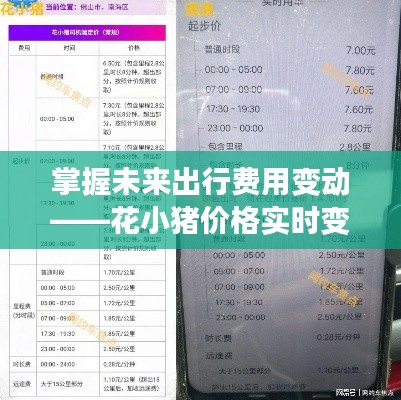 花小猪出行费用变动解析,实时价格指南(适用于初学者与进阶用户)