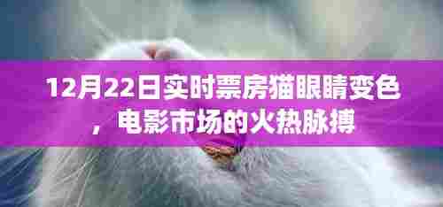 电影市场火热脉搏,12月22日实时票房带动猫眼睛变色