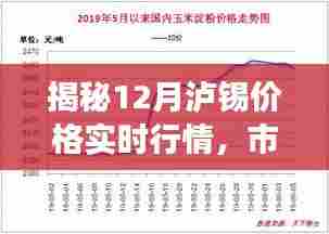 揭秘,泸锡价格实时行情走势分析与预测(12月版)