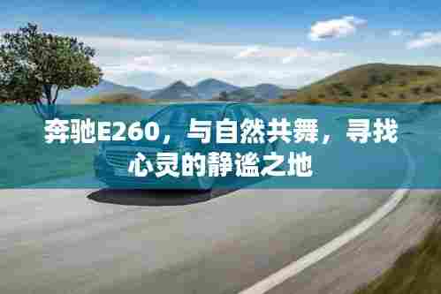 奔驰E260，与自然和谐共舞，探寻内心宁静之地