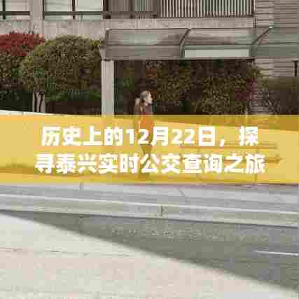 历史上的重要时刻,探寻泰兴实时公交查询之旅的启程点