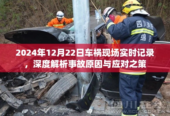 深度解析,车祸现场实录与应对之策