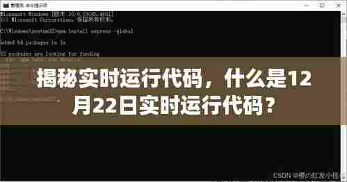 揭秘实时运行代码,什么是实时运行代码详解及解析?