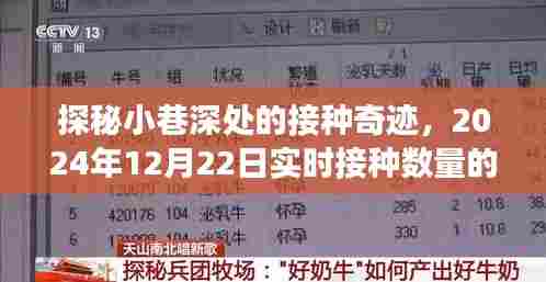 探秘小巷深处的接种奇迹,实时接种数量背后的故事,2024年12月22日记录