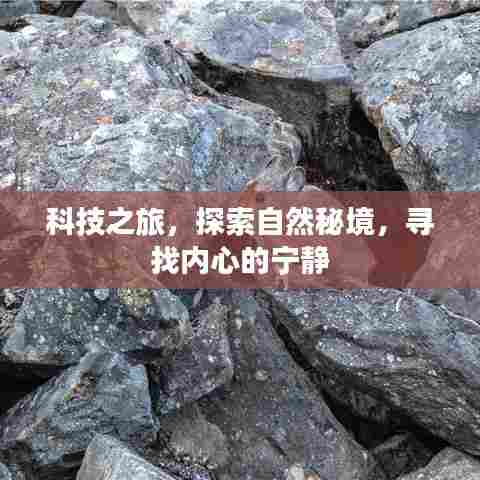 科技与自然，探索秘境之旅，寻找内心宁静的旅程