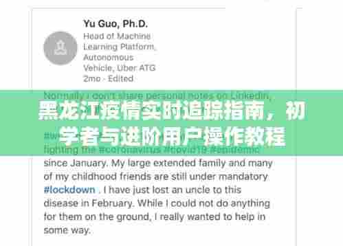 黑龙江疫情实时追踪指南,初学者与进阶用户操作手册