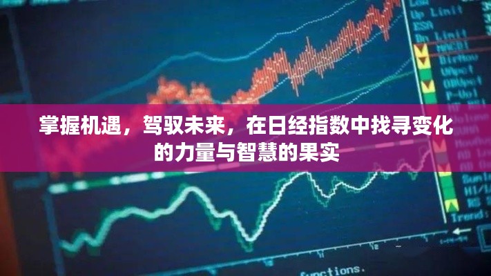 掌握机遇,驾驭未来,日经指数中的智慧果实与变化力量探索