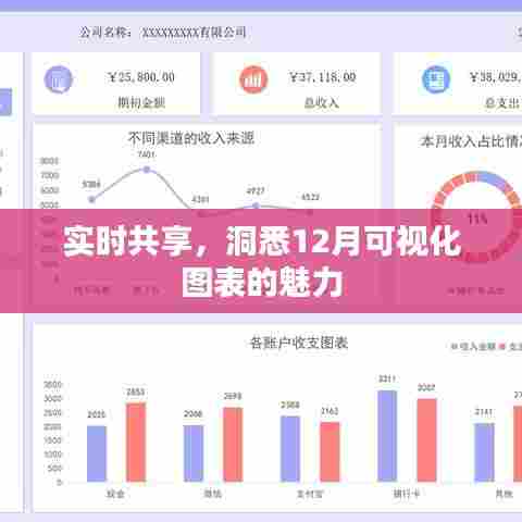 实时洞悉,探索十二月可视化图表的魅力与共享价值