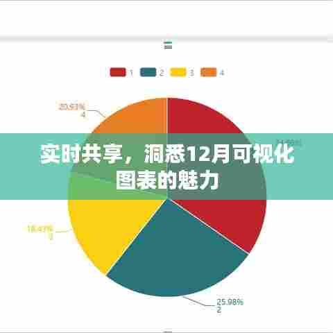 实时洞悉,探索十二月可视化图表的魅力与共享价值