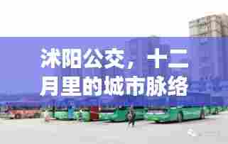 沭阳公交,十二月城市脉络的见证者