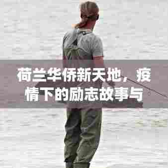 荷兰华侨新天地,疫情下的励志故事与变革之力