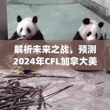 解析未来之战，我的预测——2024年CFL加拿大美式足球实时比分展望