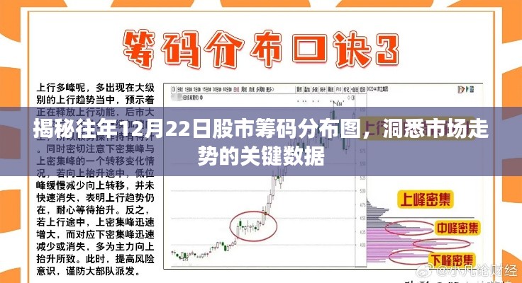揭秘往年12月22日股市筹码分布图,洞悉市场走势的关键数据解析