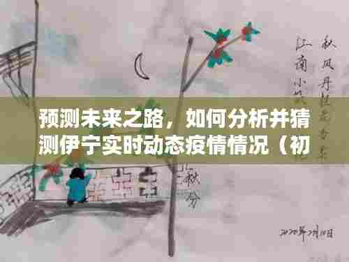 初学者与进阶用户指南,预测伊宁实时动态疫情情况分析手册