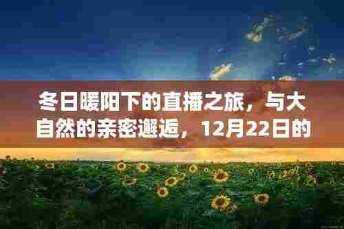 赤鸟夹日 第3页