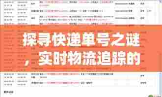 探寻快递单号之谜,实时物流追踪的历程及其影响