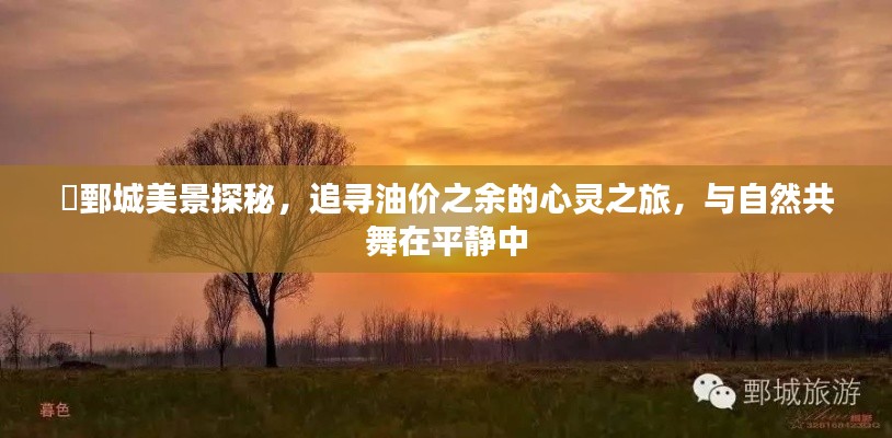 鄄城美景探秘,心灵之旅与自然共舞,油价之余的宁静追寻