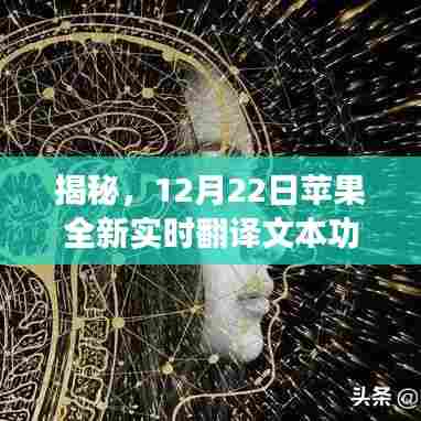 揭秘,苹果全新实时翻译文本功能深度解析及运用指南